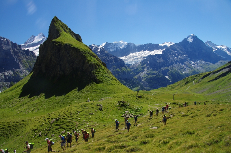 24h Hike Mammut_Ochsner 'Grosse Scheidegg _ Schwarzhorn 2927m' 18_08_2012 (118).JPG